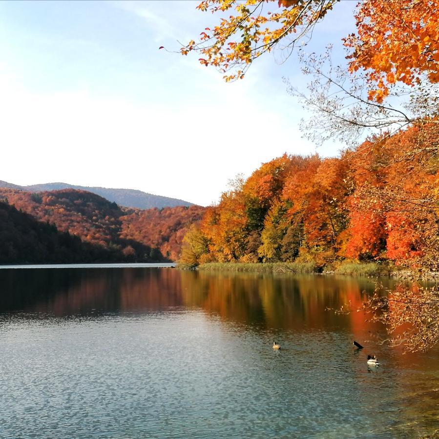 Plitvice Konak Daic Plitvicka Jezera Exterior foto
